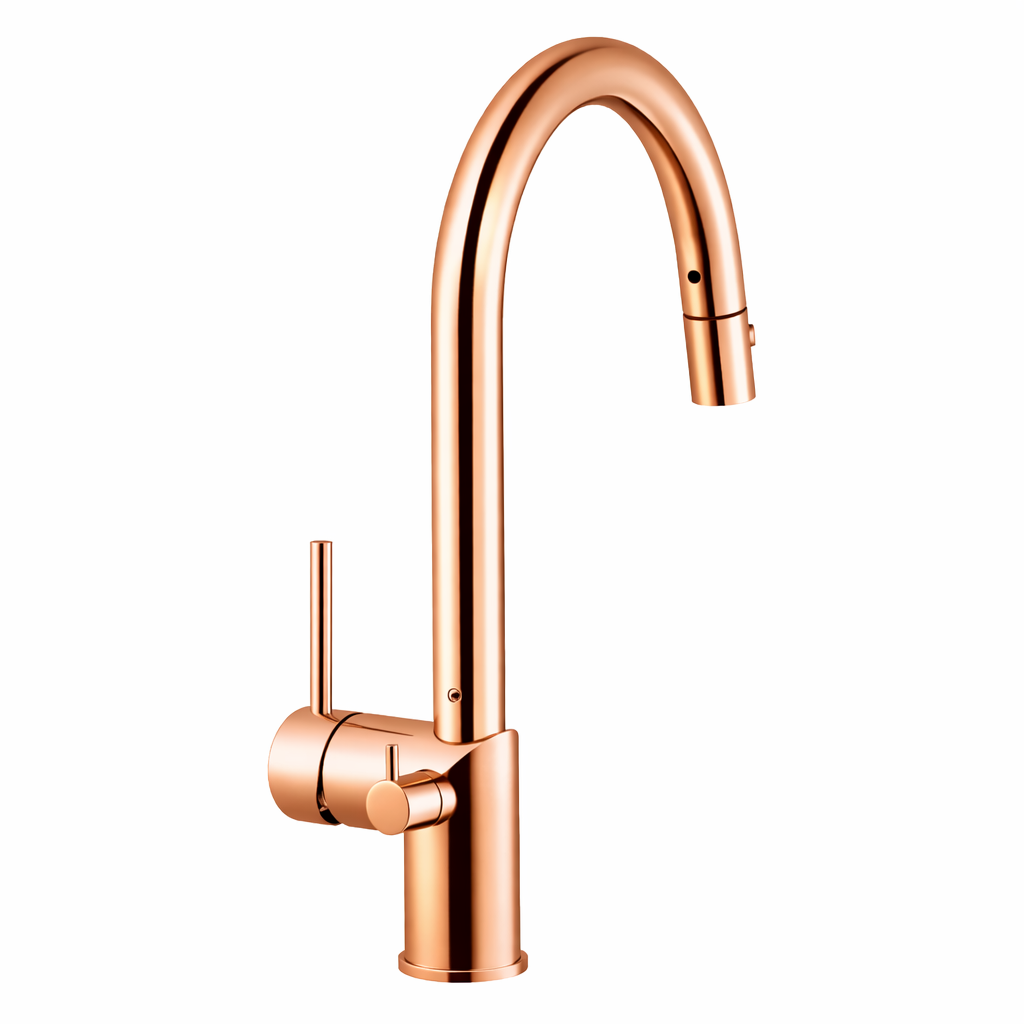 Houzer Sentry Dual Function Pull Down with Shut Off Valve for Hot Water